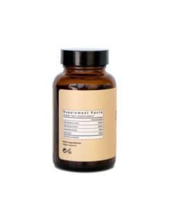 Be Energized (Booster) Mushroom Supplement Capsules