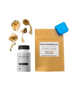 First-Timer-Magic-Mushroom-Kit-Psych-101
