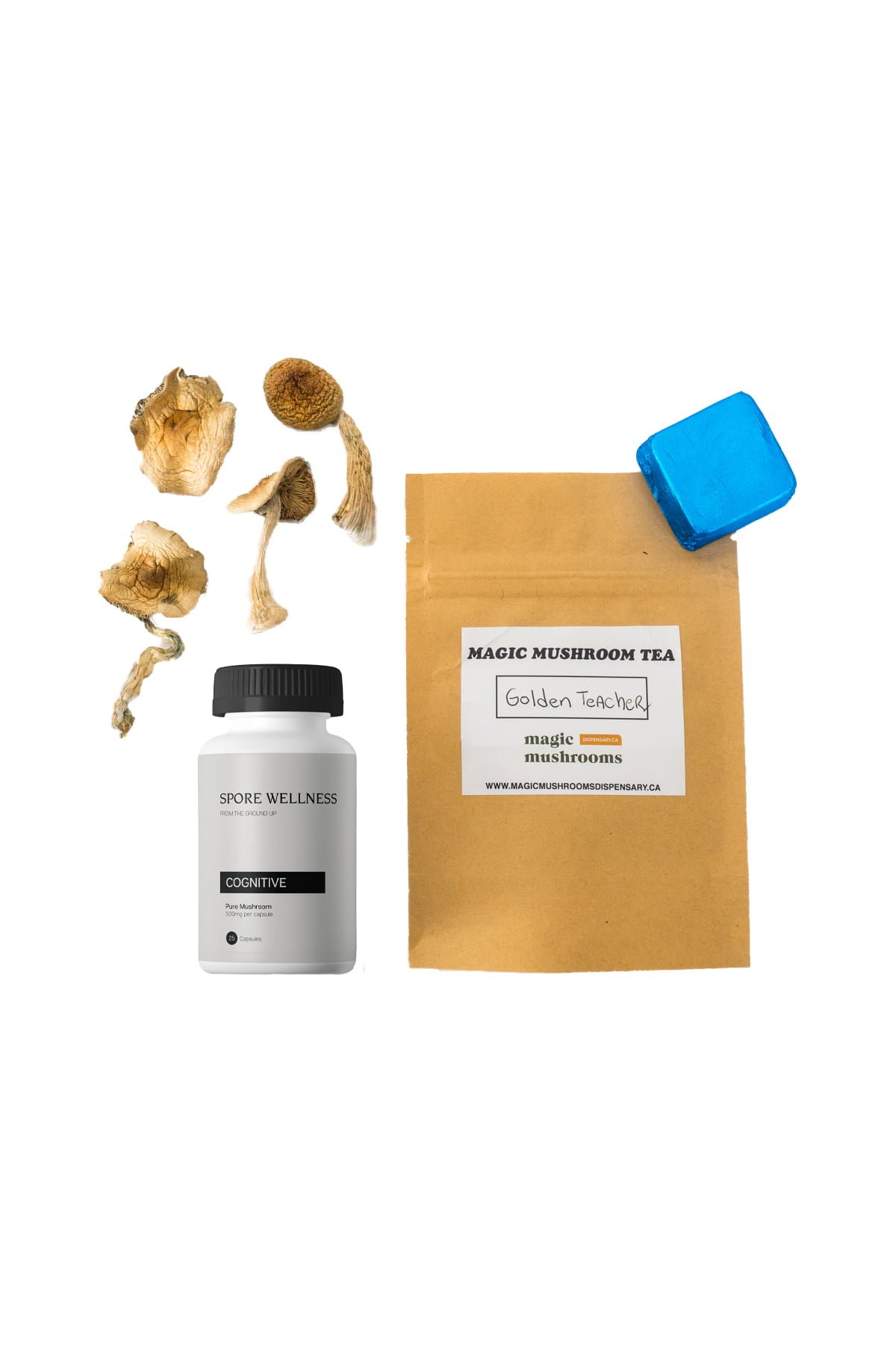First-Timer-Magic-Mushroom-Kit-Psych-101
