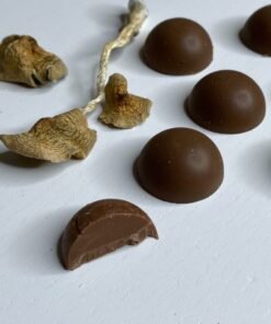Shafaa Macrodosing Magic Mushroom Milk Chocolate Edibles