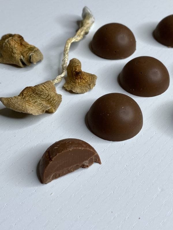 Shafaa Macrodosing Magic Mushroom Milk Chocolate Edibles