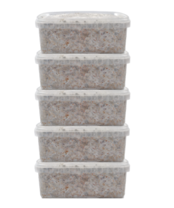 5 Magic Mushroom grow kit Discount Pack - MycoMate®