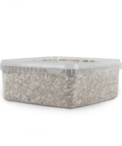 general-magic-mushroom-kit-growbox-extra-large_5