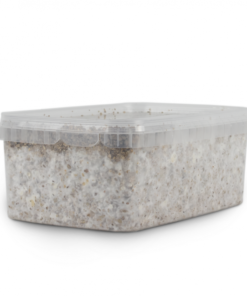 Magic Mushroom Grow Kit PES Amazon by Mondo®