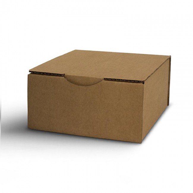 golden-teacher-mondo-magic-mushroom-kit-box-xl_5