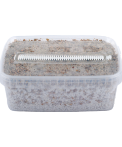 mycelbox_pi_2_7